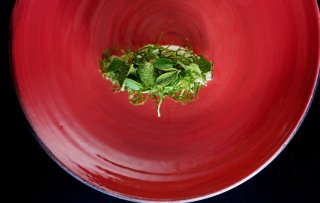 Deze twee restaurants kregen een groene Michelinster