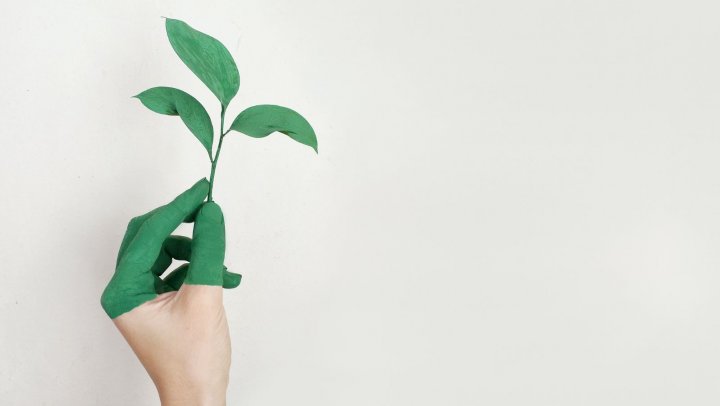 Dit zijn de kanshebbers voor een groene Michelinster