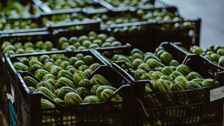 Méér groenten en fruit nodig voor voedselbanken