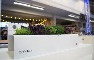 Indie brand: Grown