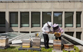 Food Manifesto SENSE by Hotelschool The Hague sets the standard