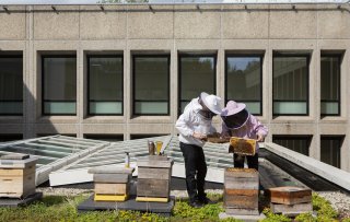 Hoe geef je als hotelschool het goede F&B-voorbeeld?