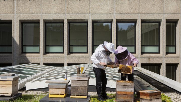 Food Manifesto SENSE by Hotelschool The Hague sets the standard
