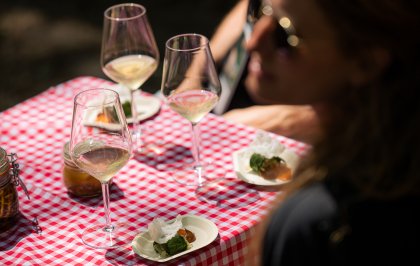 Humus x Hortense: “van kop tot staart, maar dan met planten”