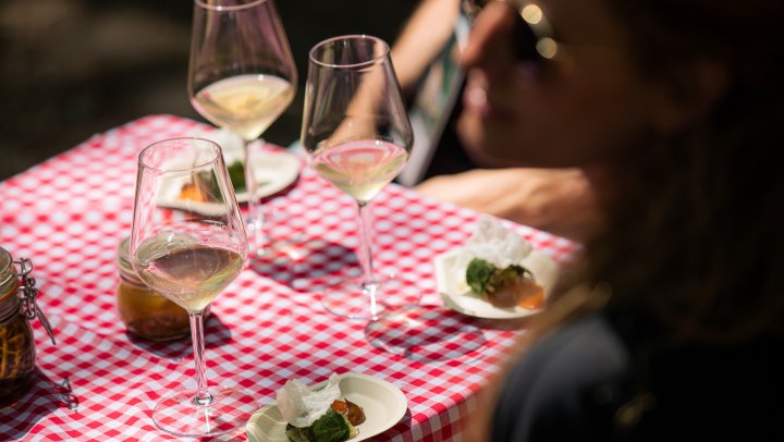 Humus x Hortense: “van kop tot staart, maar dan met planten”