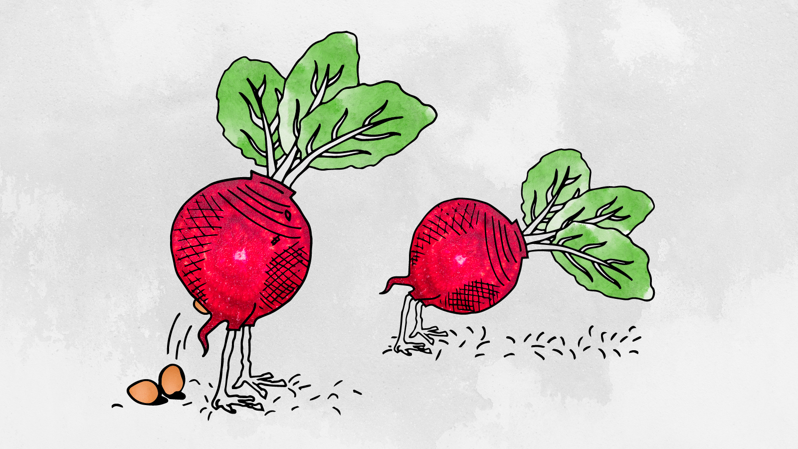 Hybride vlees - illustratie