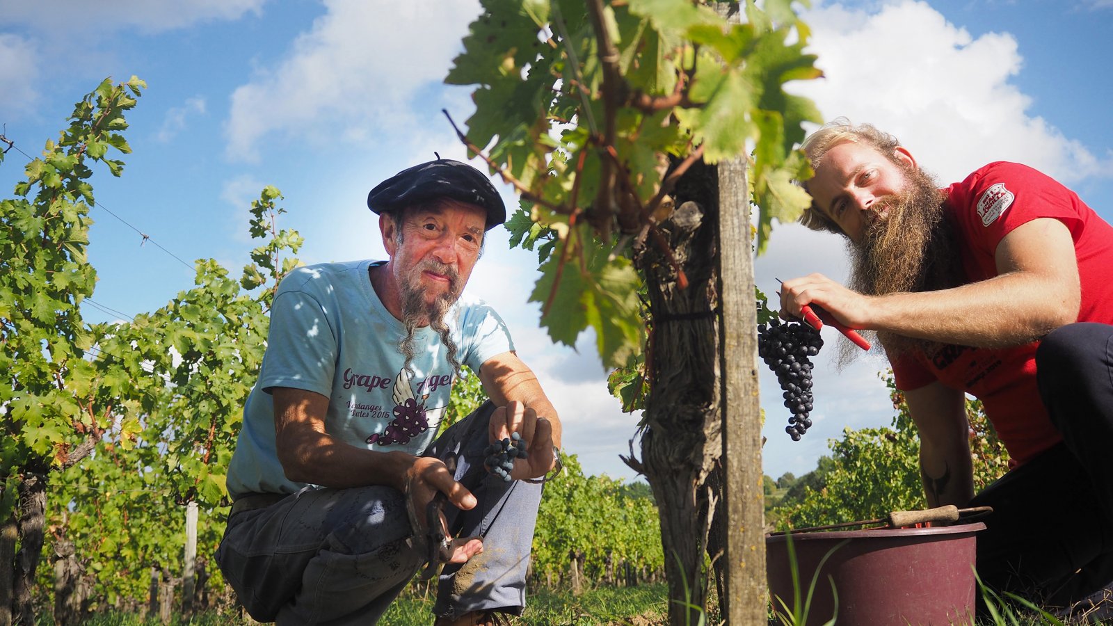 Ilja en Klaas Gort in de wijngaard