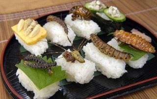 Insects a la carte