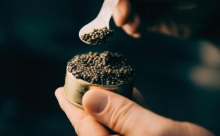 Viral trends: van matcha in blik tot kaviaar bumps