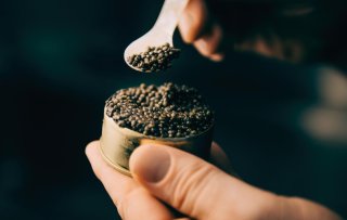 Viral trends: van matcha in blik tot kaviaar bumps