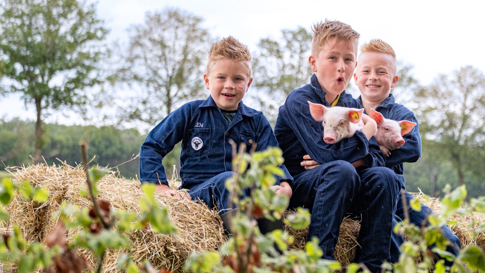 Kids met varkens