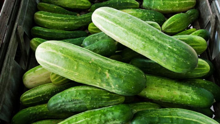 Blog: Komkommertijd, tijd voor tamtam