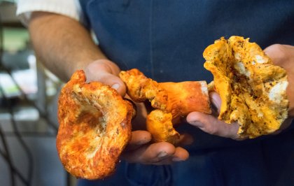 Farm to table pioneer