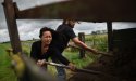 Koreaans-Nederlandse boerin Kyung Ok Schakel brengt diversiteit in agrarisch landschap