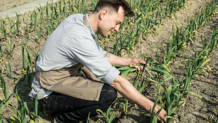 Van akkerbouwbedrijf naar restaurant De Dyck met groene Michelinster