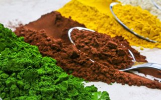 Microalgae have enormous potential: from haute cuisine to catering