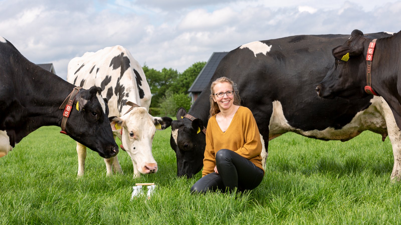 Mijn Melk