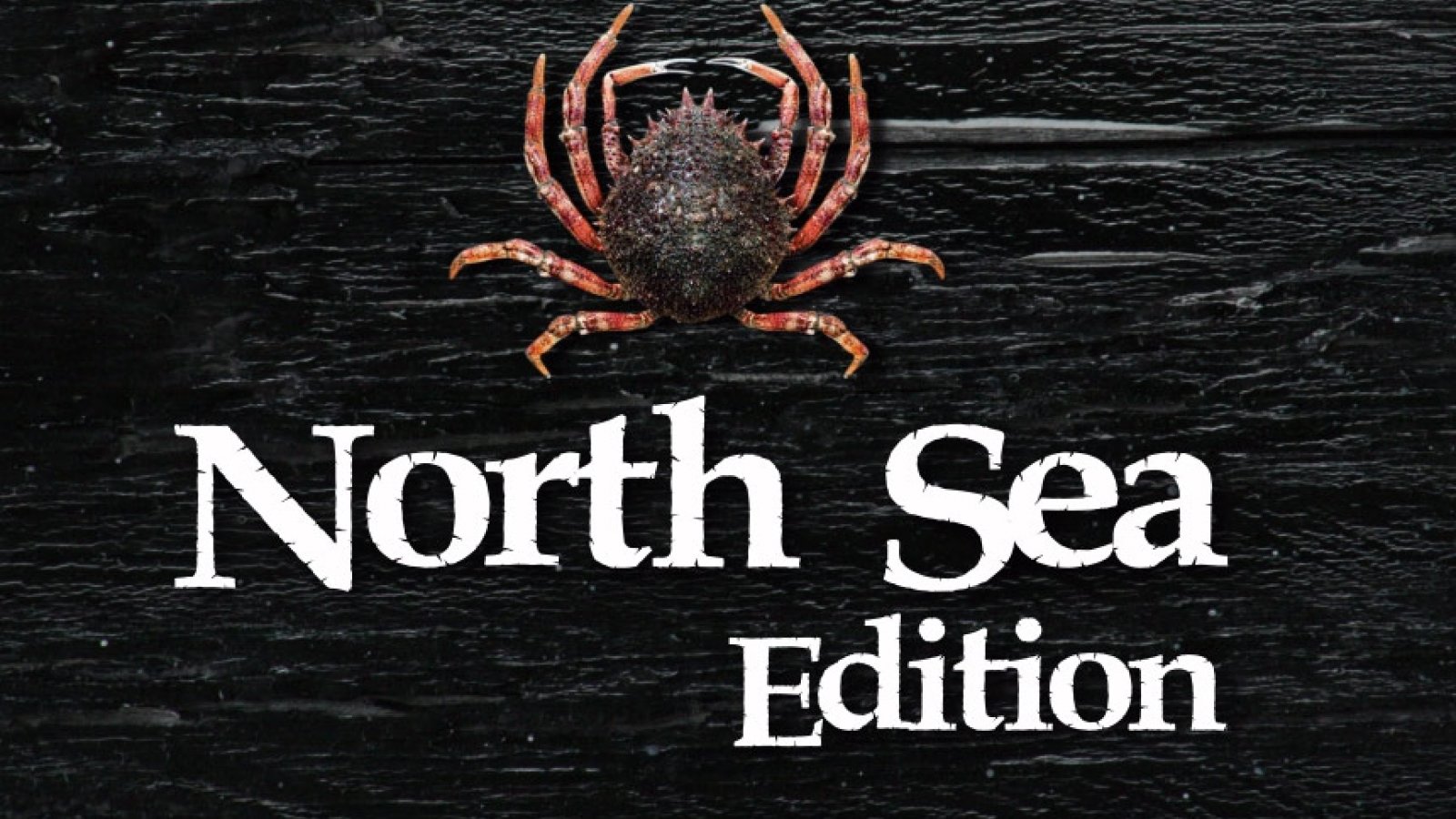 Nouvelle édition:  La mer du nord