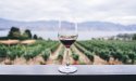 Natural wine is popular but can be hard to define
