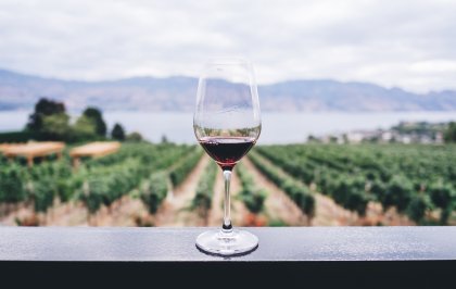 Natural wine is popular but can be hard to define