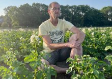 Akkerbouwer Joost van Strien teelt groenten zonder dierlijke mest