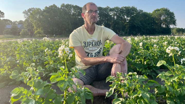 Akkerbouwer Joost van Strien teelt groenten zonder dierlijke mest