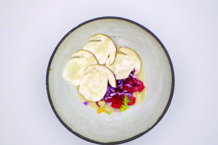 Fungi in food: an essential tastemaker Biology Diagrams