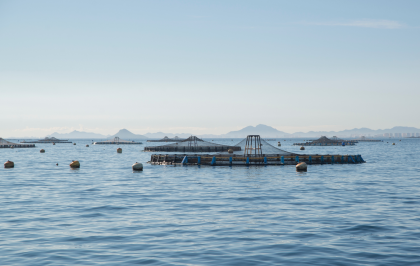 Regenerative ocean farming