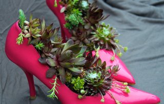 Stilettos in the vegetable garden