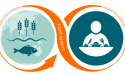 New Scandinavian dietary guidelines incorporate sustainability into their recommendations