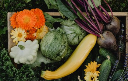 Cateraars gaan voor meer plant dan dier