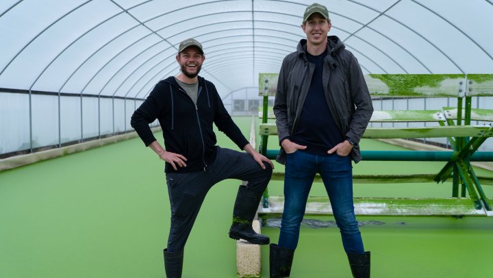 Nederlandse start-up Plantible werkt aan veelbelovende plantaardige eiwitbron
