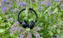 Food Inspiration's podcast tiplijst mei