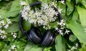 5 must-listen podcasts voor nieuwsgierige foodprofessionals