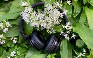5 must-listen podcasts voor nieuwsgierige foodprofessionals