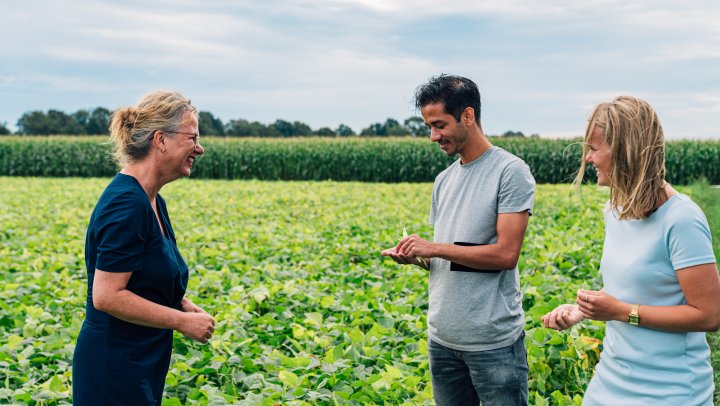 Producenten en fooddesigners werken samen met peulvruchten