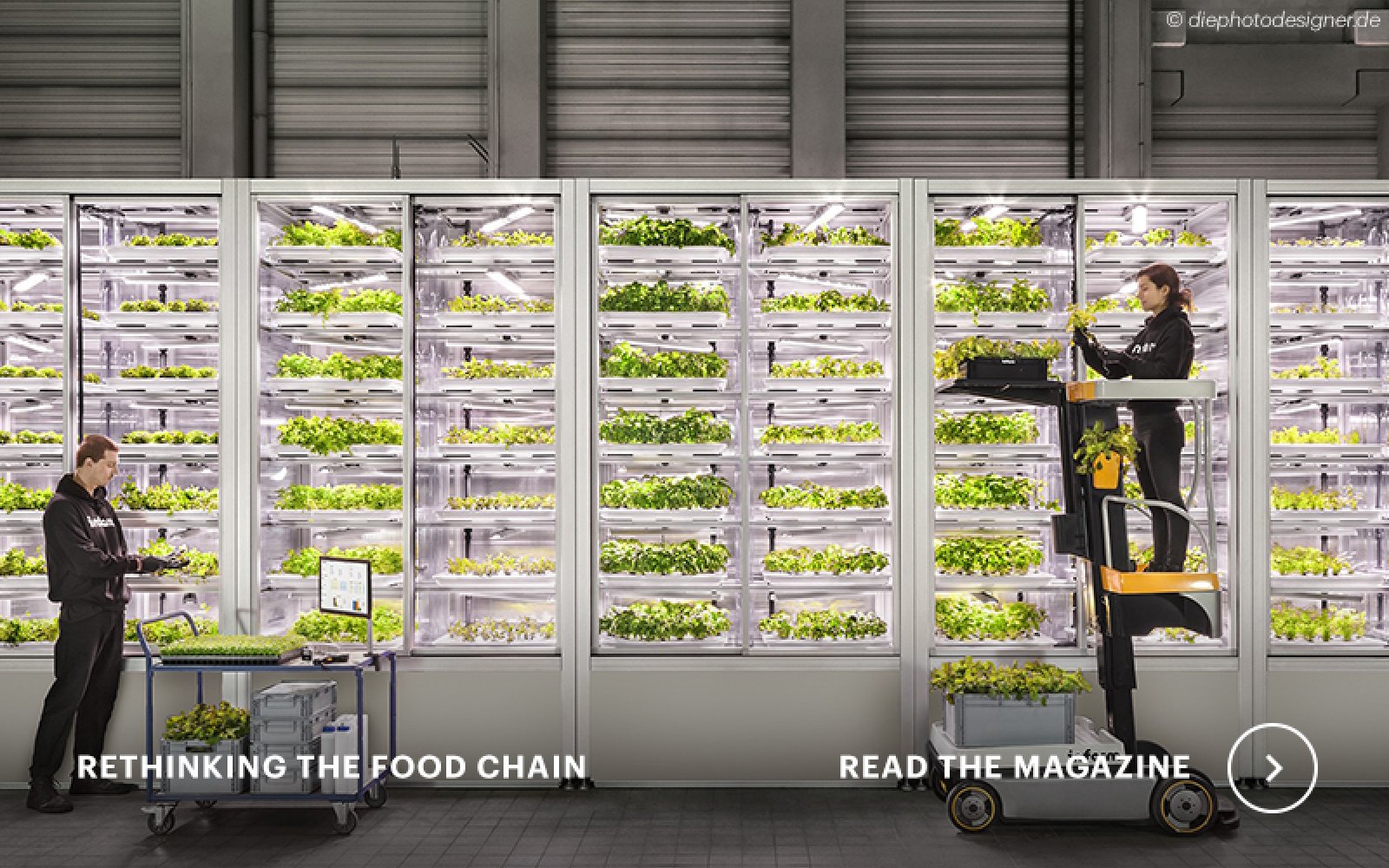 New magazine: Rethinking the food chain Biology Diagrams