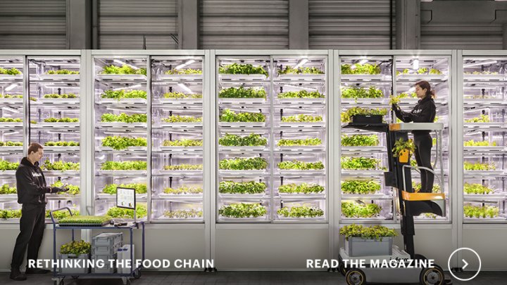 New magazine: Rethinking the food chain