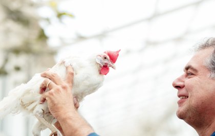 Bij Kipster leggen tevreden kippen klimaatneutrale eieren