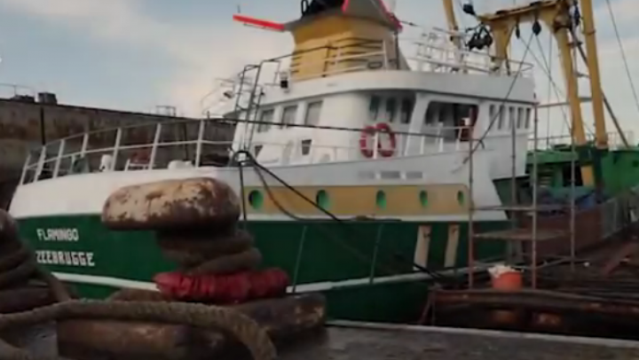 De Visafslag Zeebrugge in België