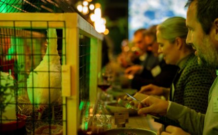 Next level culinary storytelling for food professionals