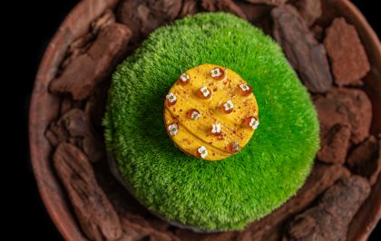 6 culinaire hotspots in Dubai