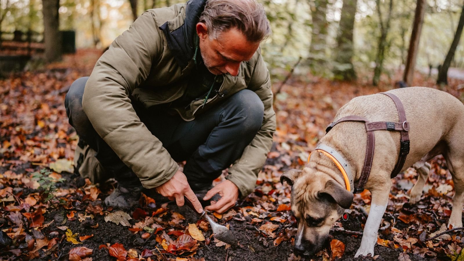 Chef & truffelzoeker Martijn Burgers en truffelhond Dexter