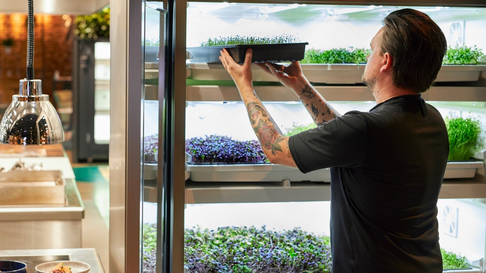 Urban Cultivator