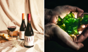 De 50 belangrijkste foodtrends voor 2024