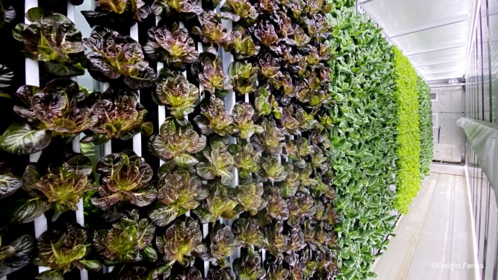 Dubbele signalen en gevoelens over vertical farming