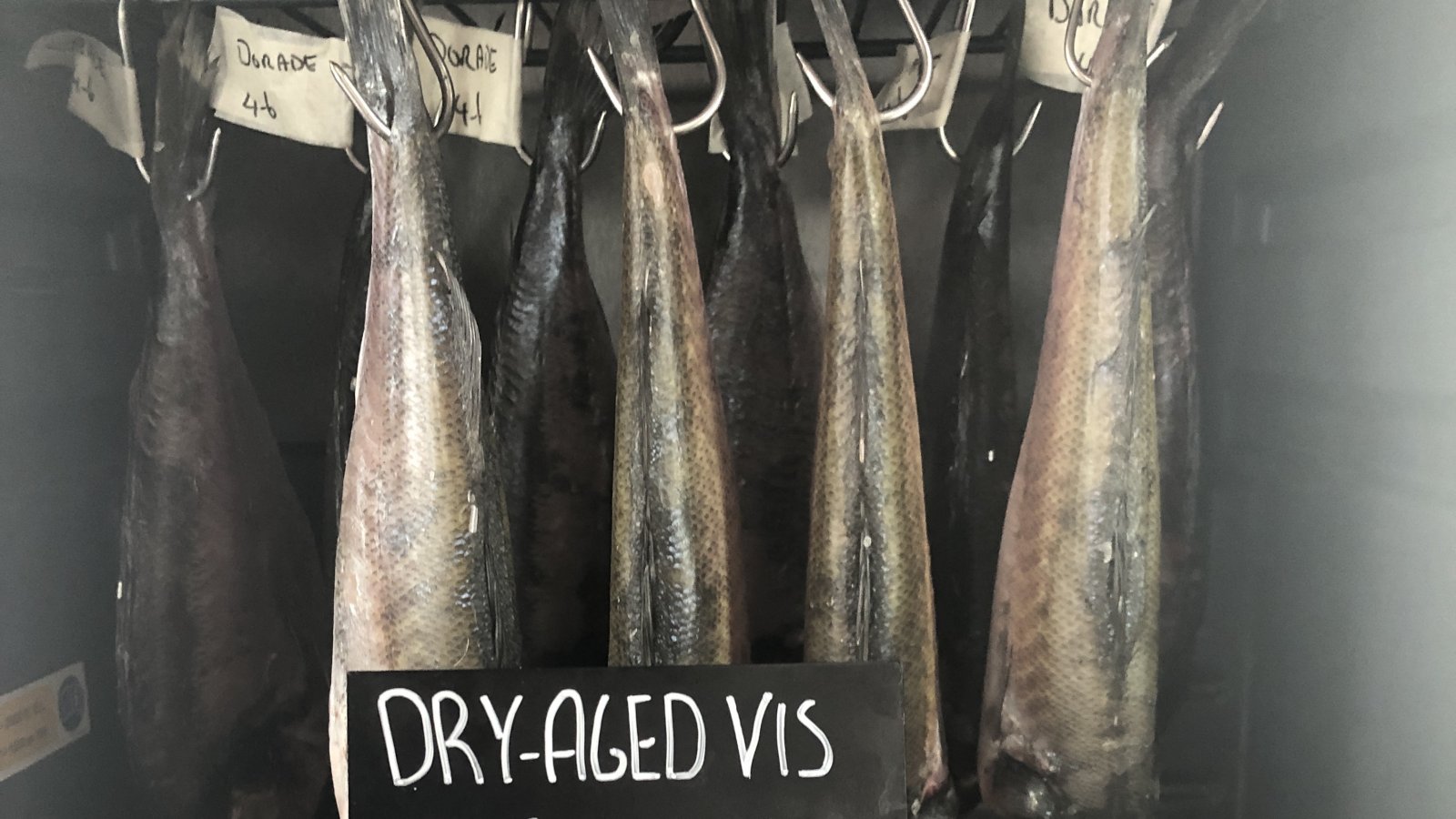 Dry aged vis