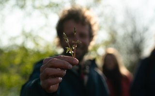 Wildplukker Gydo van der Wal deelt zijn favoriete winterschatten