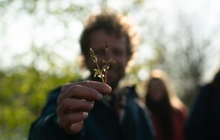 Wildplukker Gydo van der Wal deelt zijn favoriete winterschatten