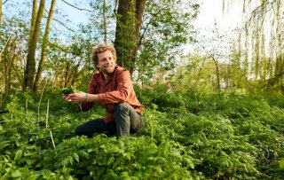 Wildplukken in de zomer: hoe verwerk je duindoorn, zwavelzwam en moerasspirea?